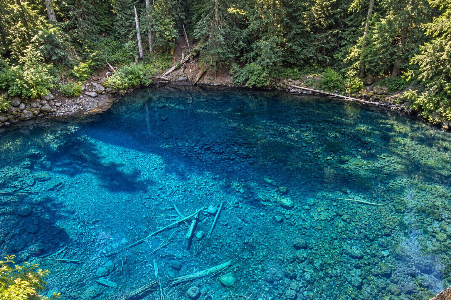 Bright turquoise Tamolitch Blue Pool bordered by forest and lava rock