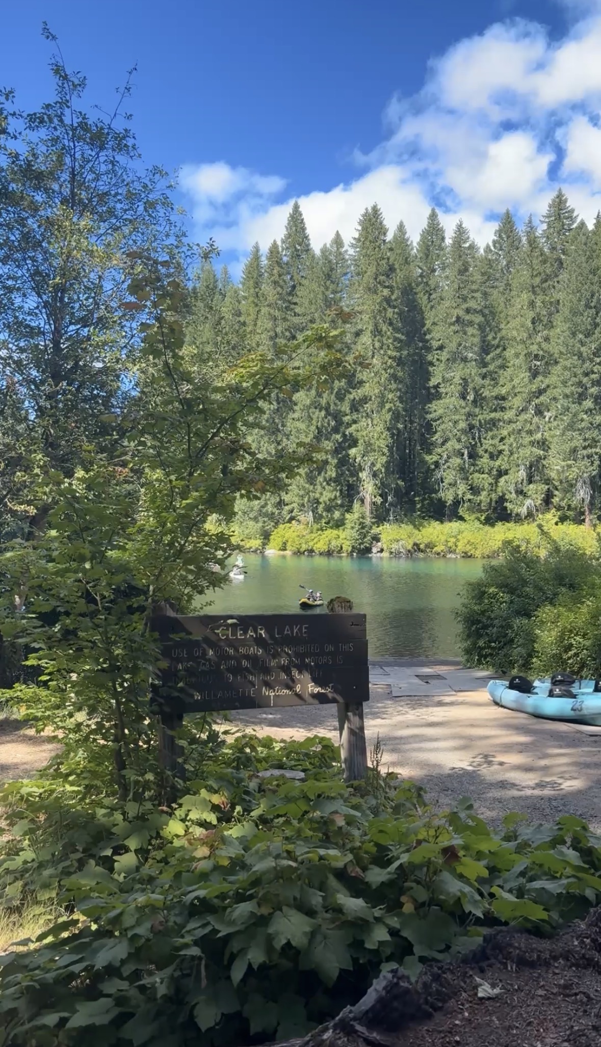 Ranya's view of the Clear Lake shoreline and boats