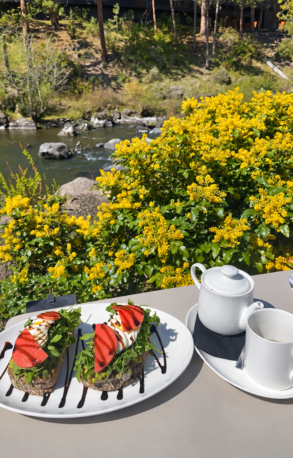 Ranya’s breakfast and tea on the sunny riverside patio at Currents