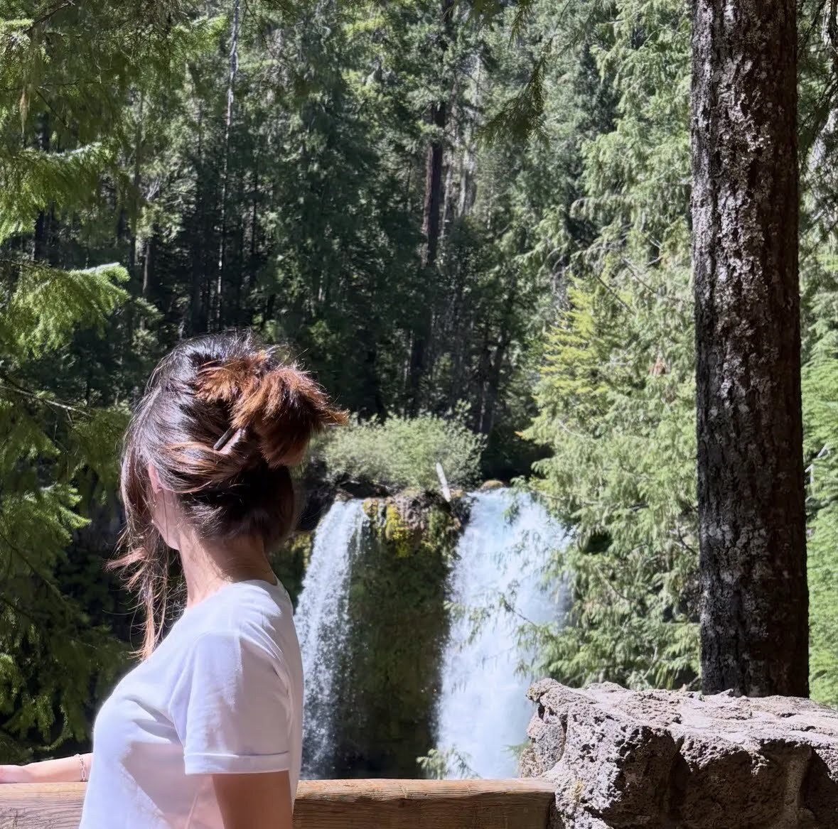 A sunny waterfall and bright blue river surrounded by lush McKenzie River forest