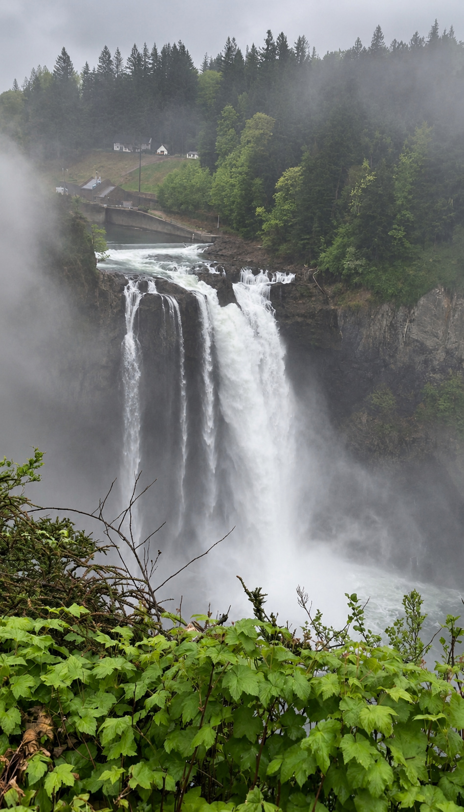 Ranya’s photo of Snoqualmie Falls surrounded by mist and green foliage