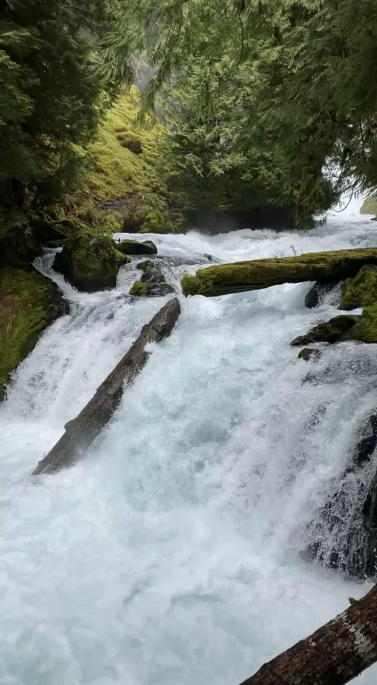 A close view of a powerful forest cascade