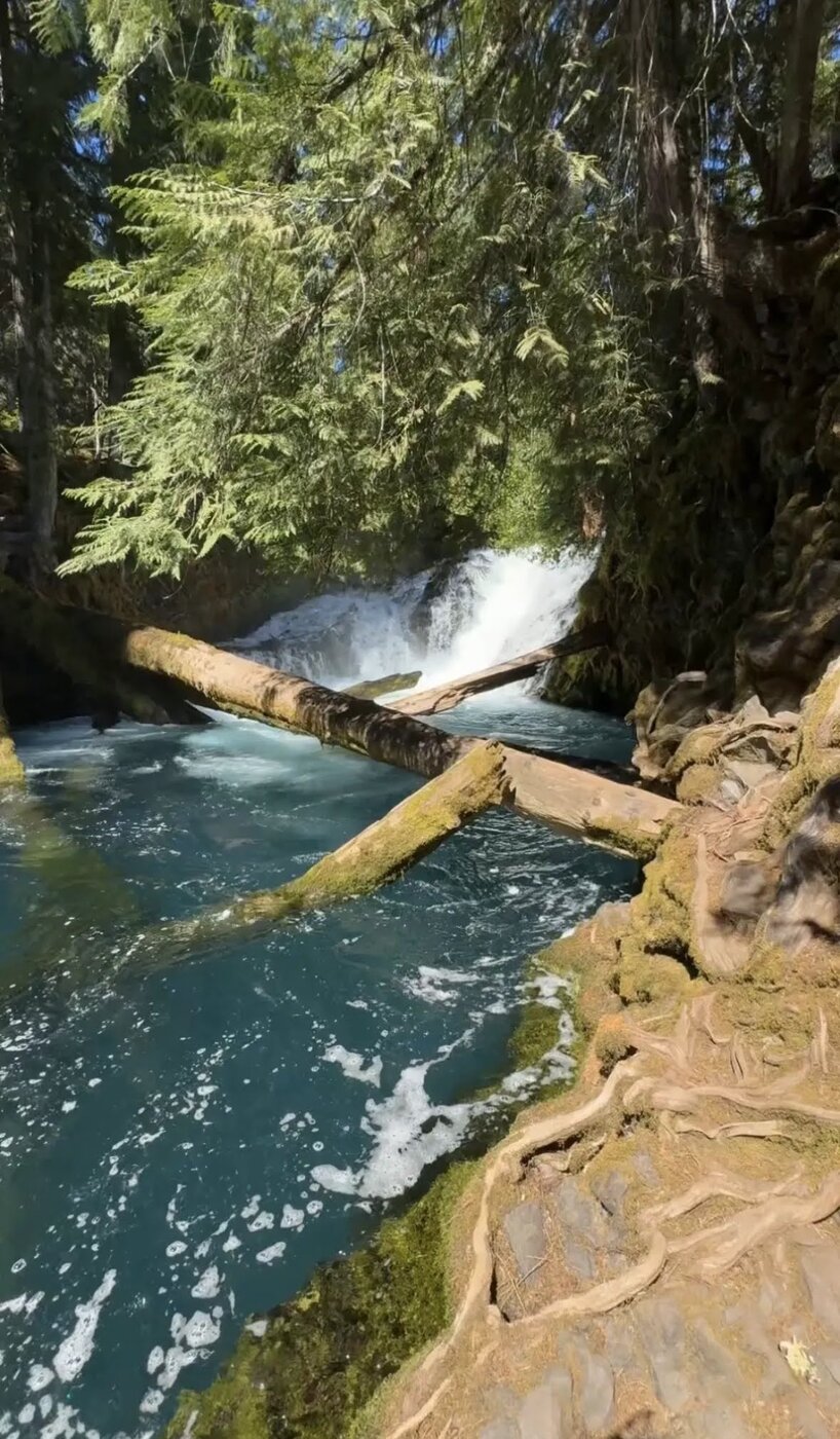 Blue river water and fallen logs along the waterfall trail