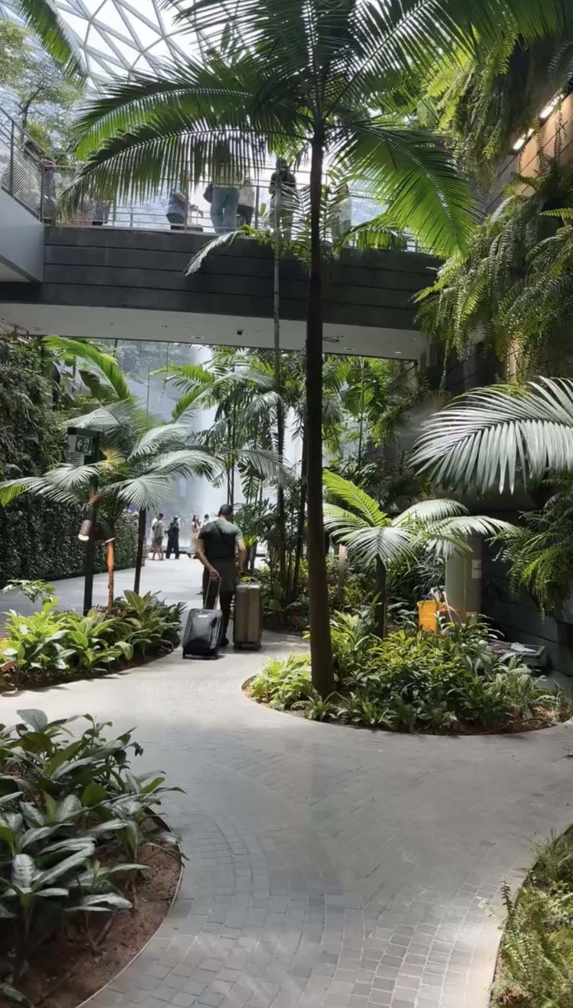 Tropical greenery and a garden path inside Jewel