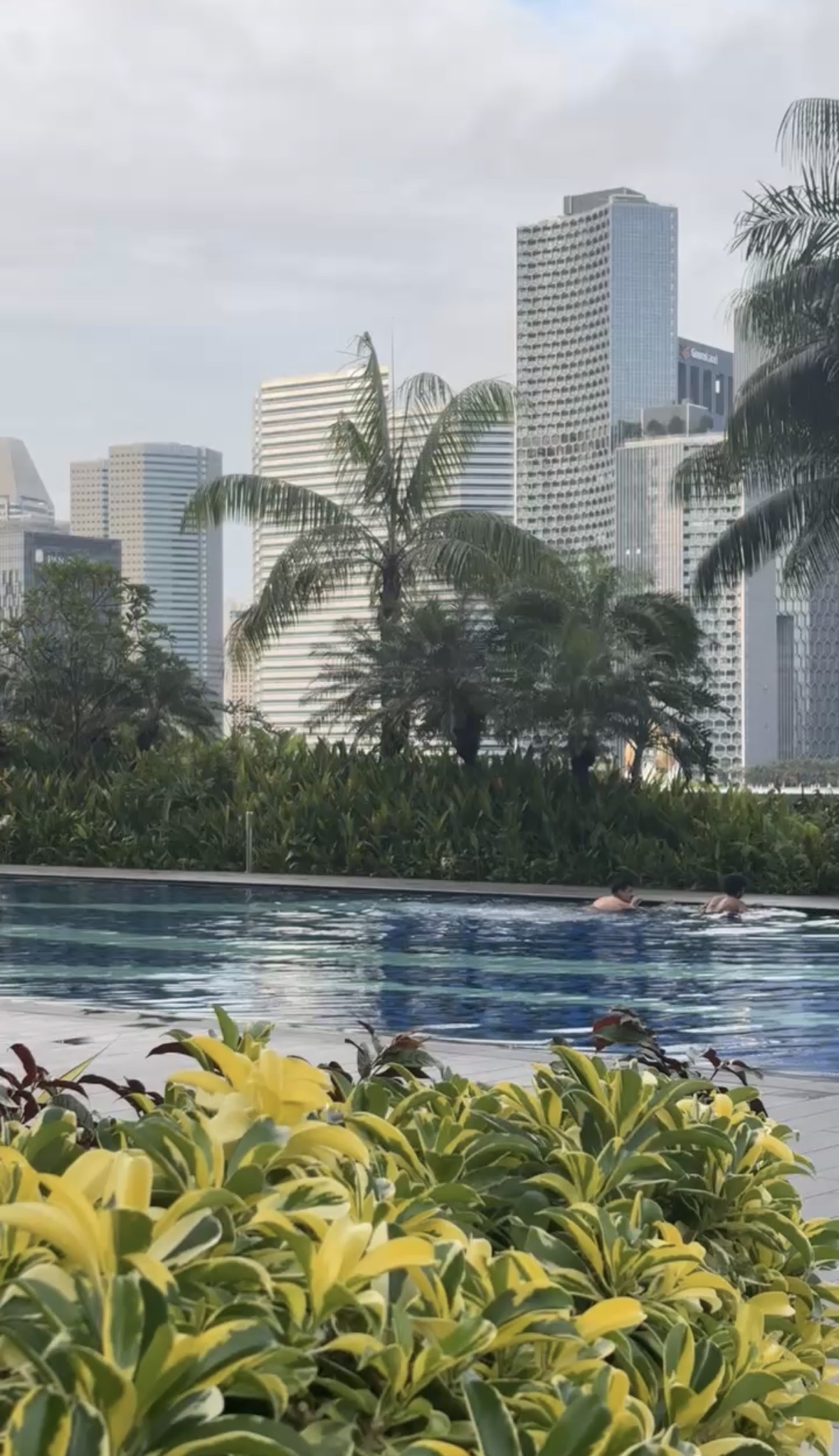Singapore waterfront gardens and skyline