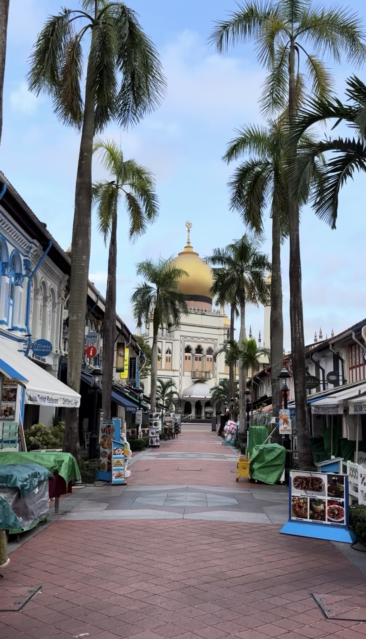 A palm-lined walkway toward Sultan Mosque