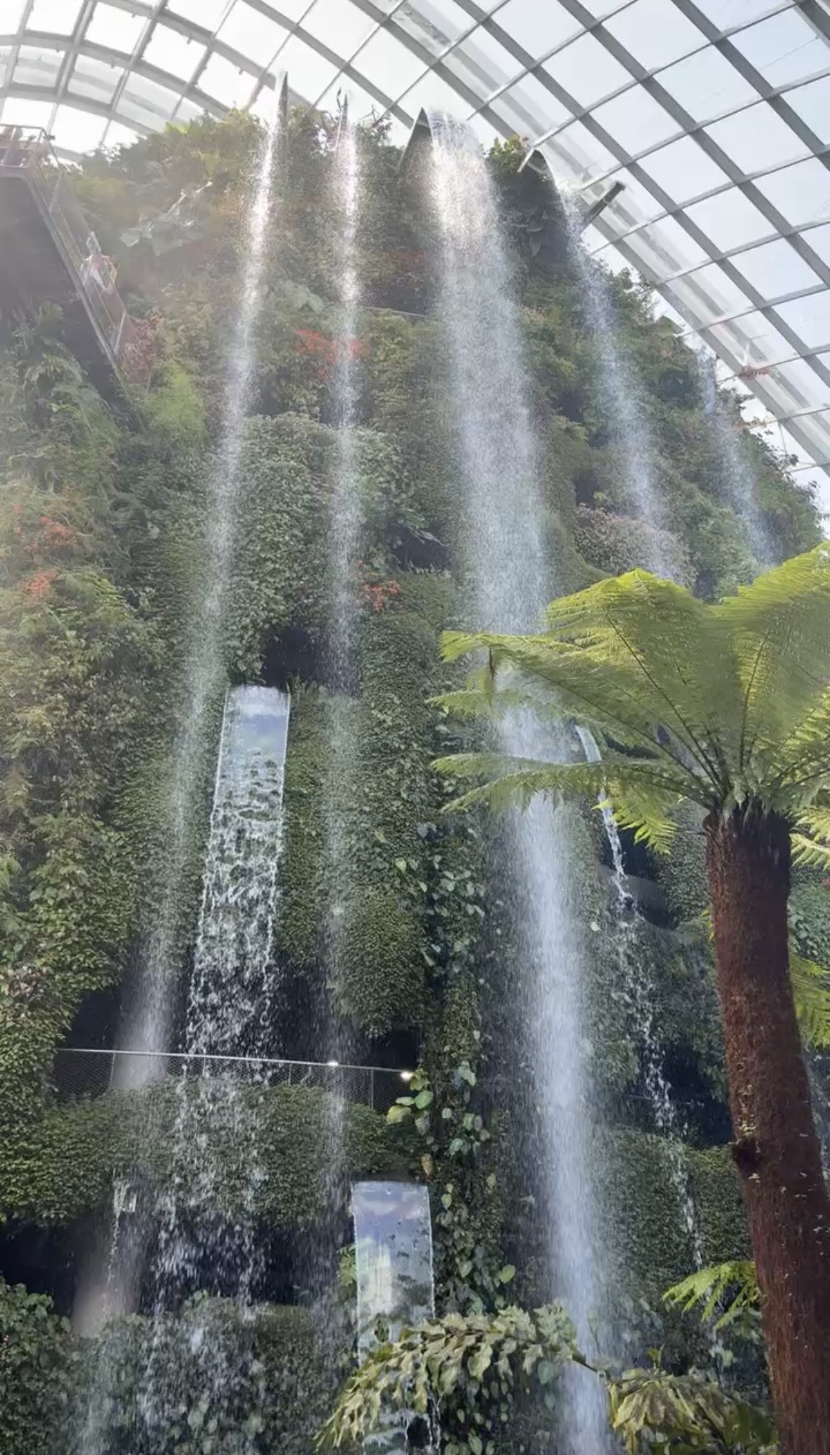 The waterfall and greenery inside Cloud Forest