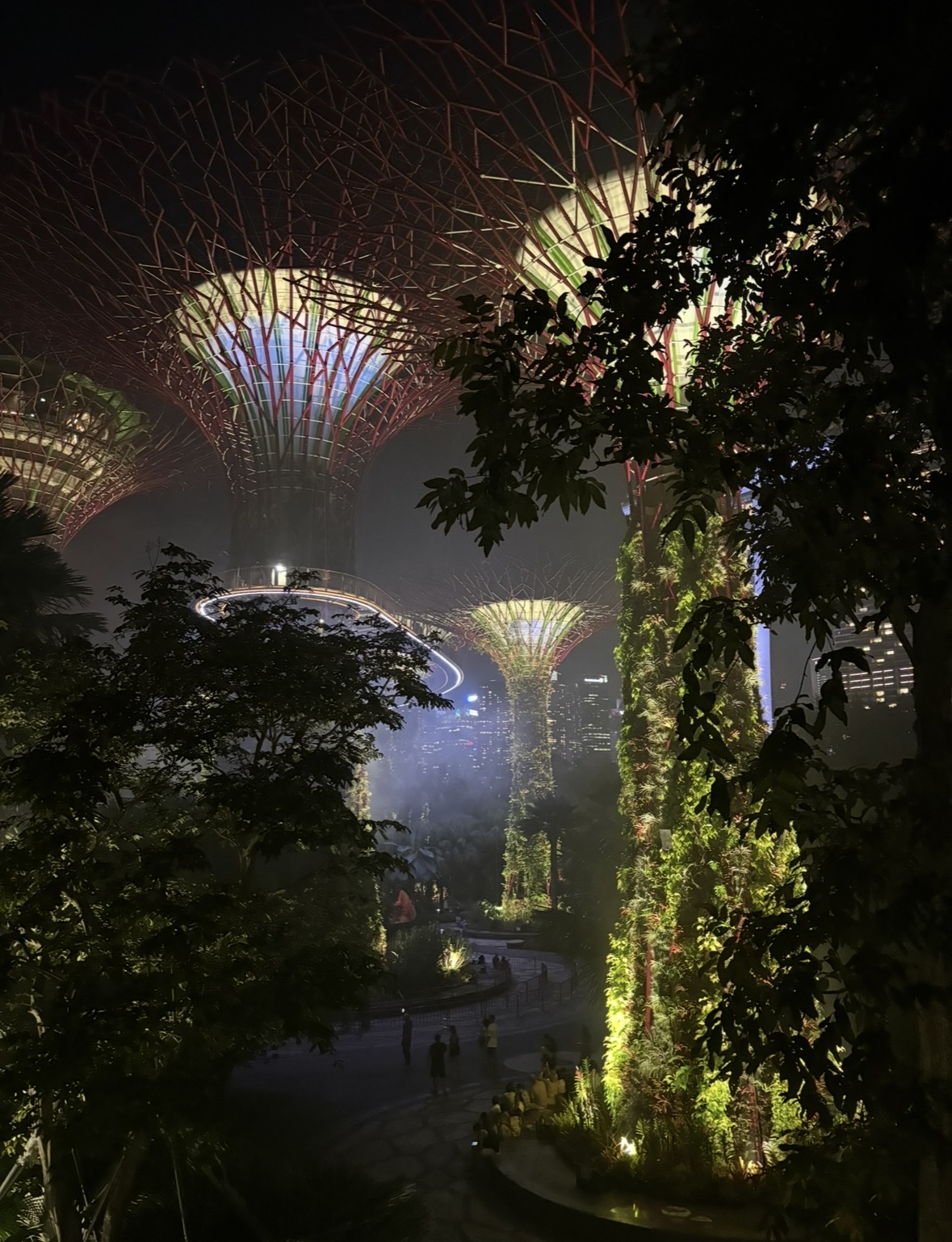 Supertrees illuminated at night in Gardens by the Bay