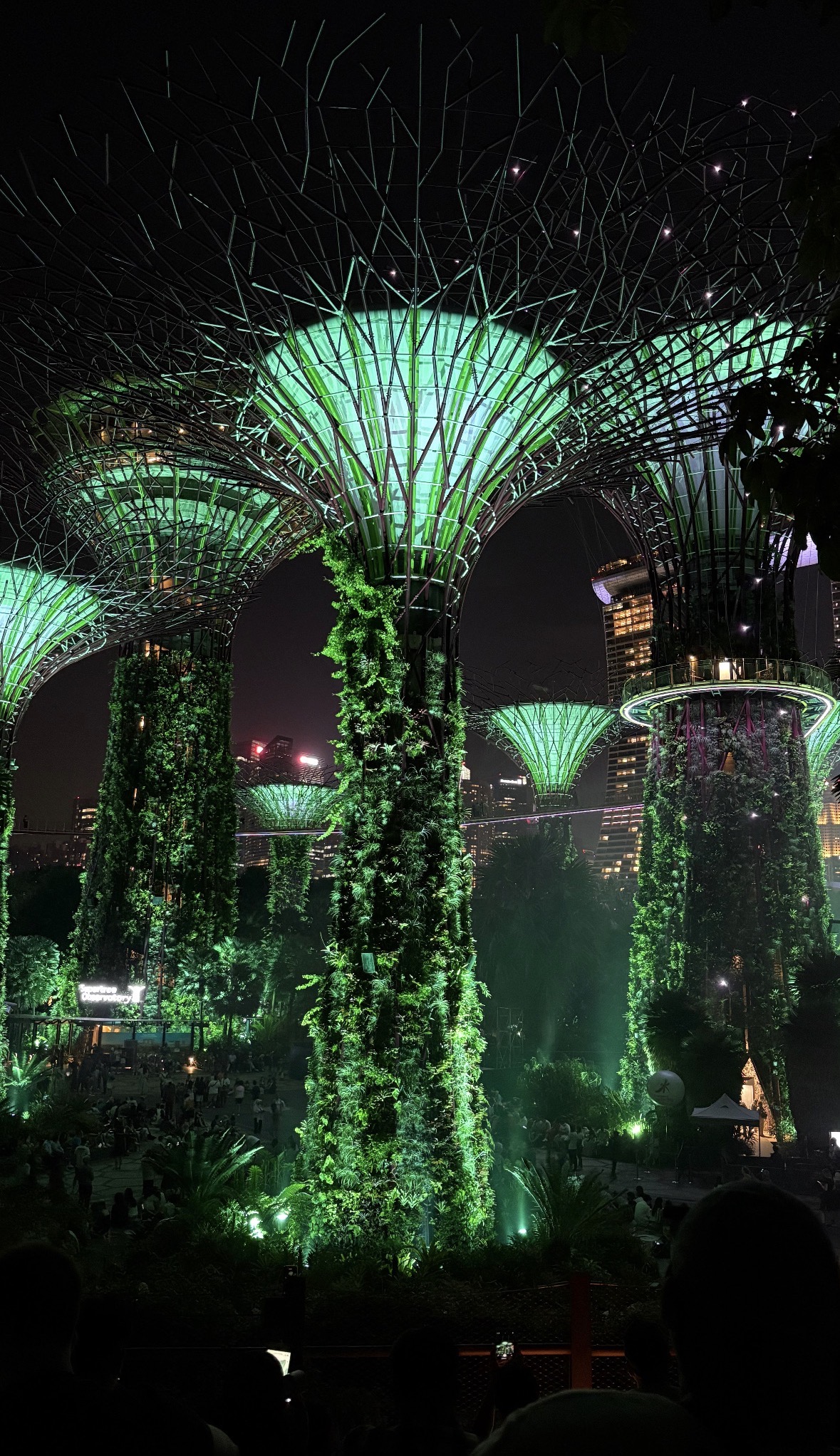 Supertrees glowing green during the evening light show