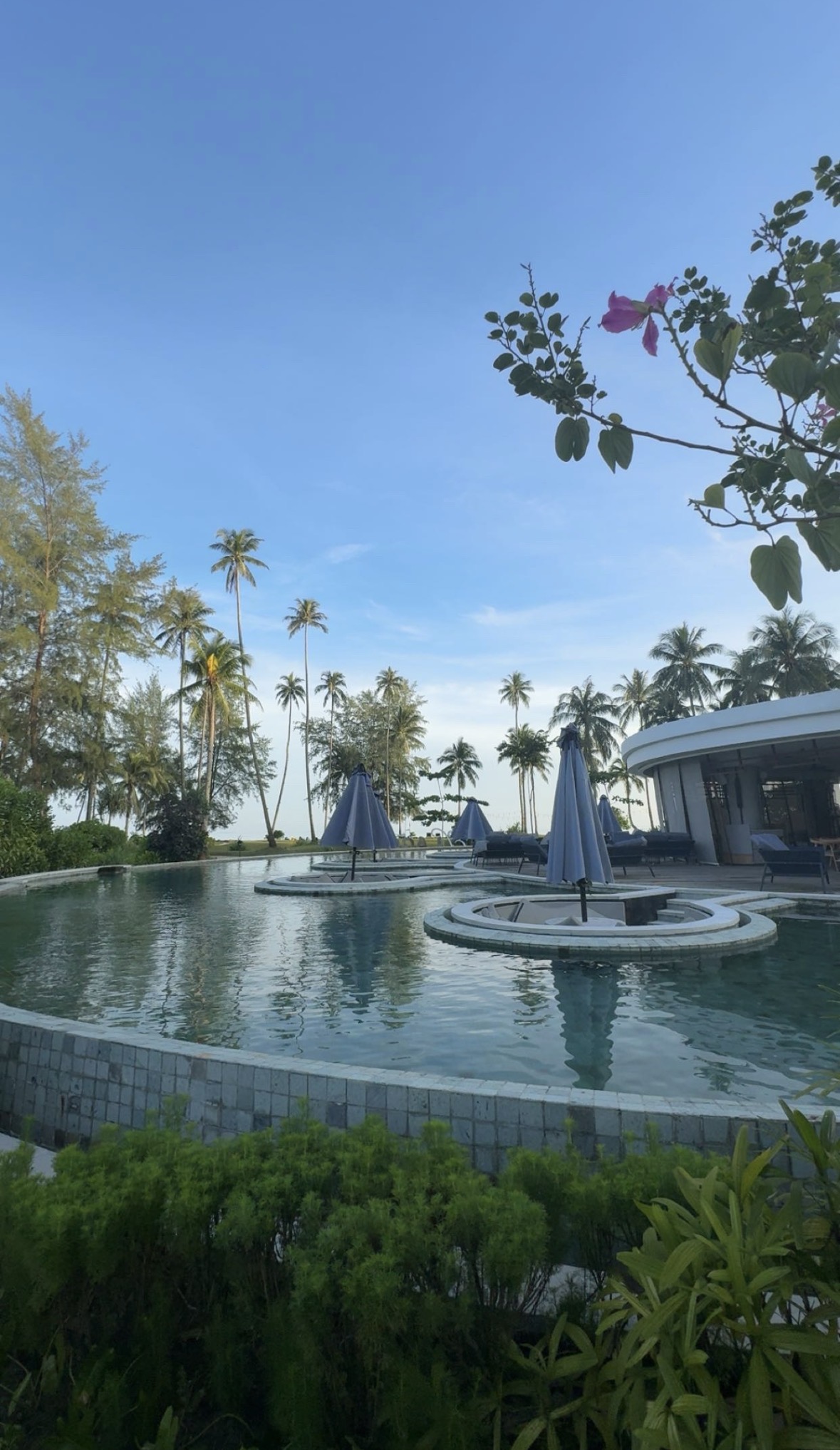 Resort pool surrounded by palms in Bintan