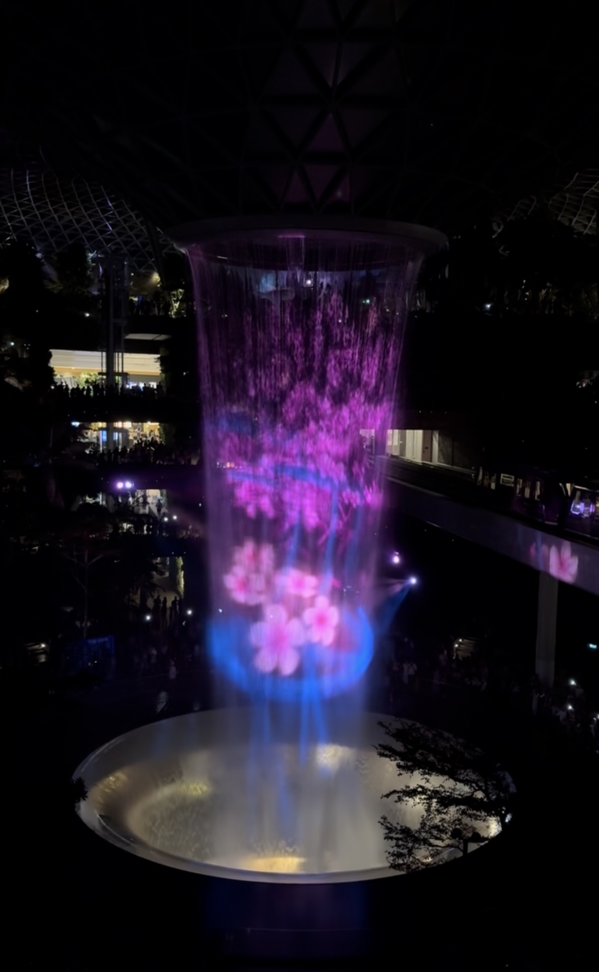 Pink and blue floral projections on the Jewel Rain Vortex